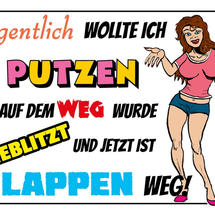 Schild Spruch Eigentlich wollte ich putzen Aber geblitzt Lappen weg Frauen JW