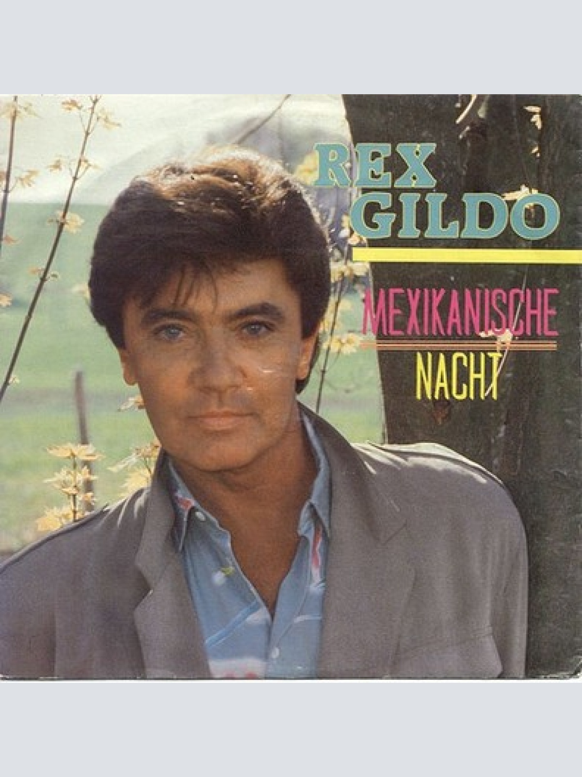 7", Single Rex Gildo - Mexikanische Nacht