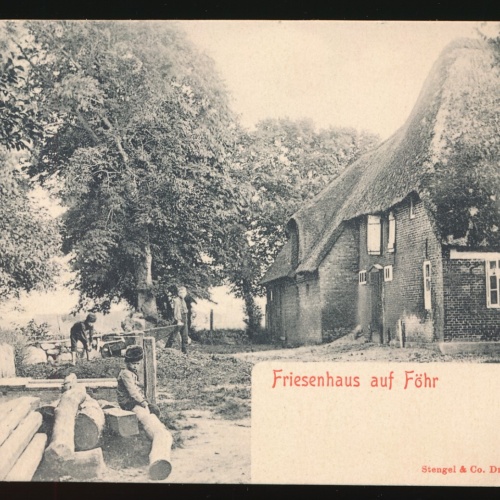 AK aus Friesenhausen auf Föhr Kinder im Garten Schleswig Hohlstein (65)