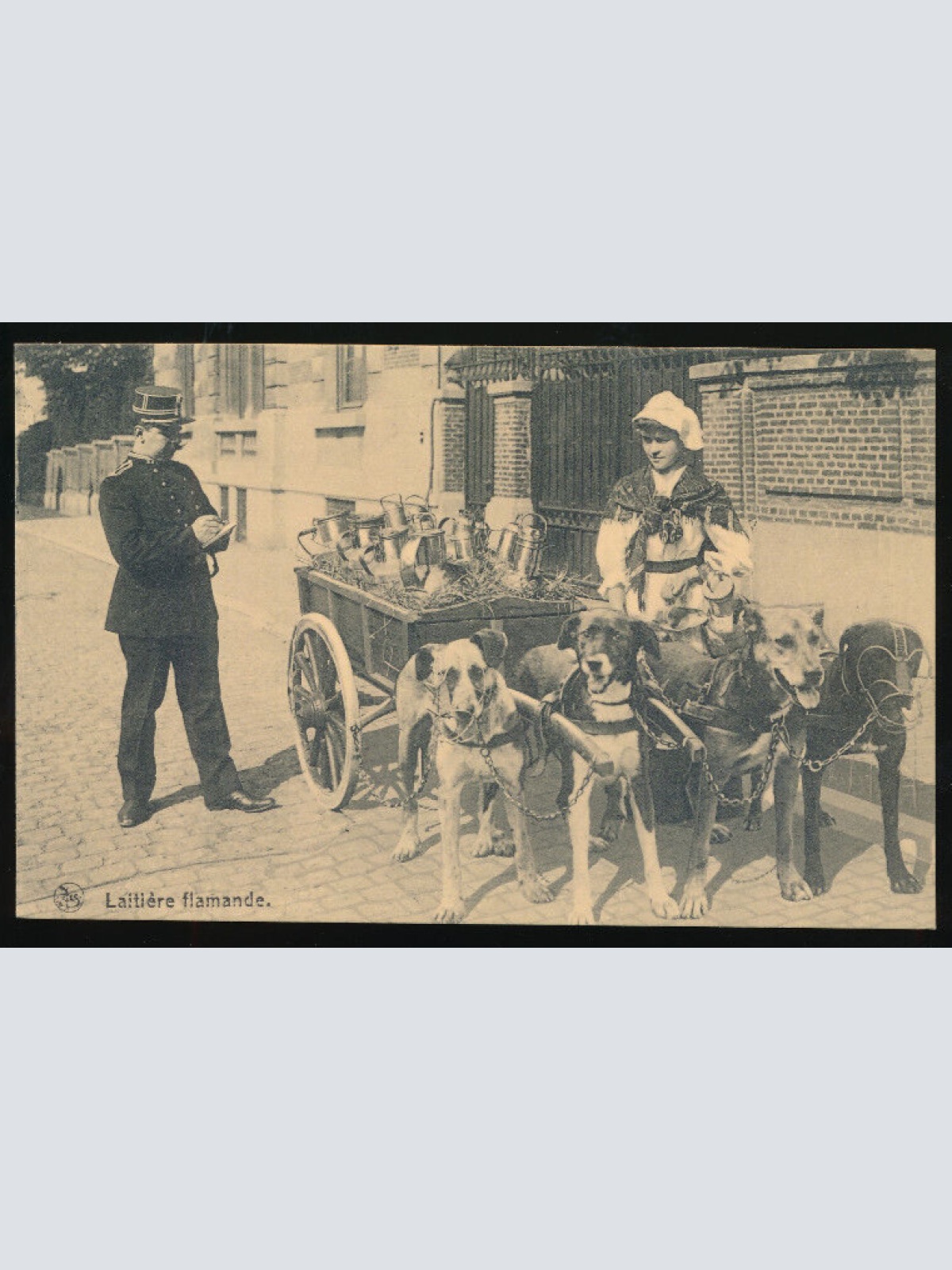 AK aus Belgien Milchverkäuferin, Hundekarren Polizist schreibt Strafzettel (618)