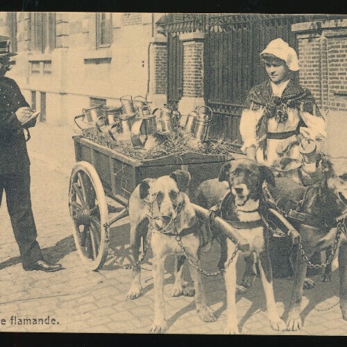 AK aus Belgien Milchverkäuferin, Hundekarren Polizist schreibt Strafzettel (618)