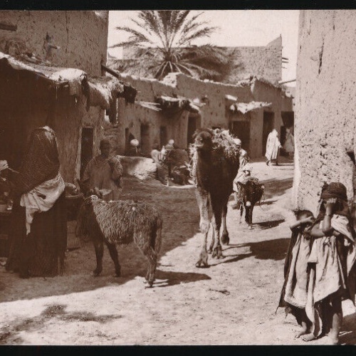 AK von einer Arabischen mit Kamel und Esel Dorfstraße Afrika (676)