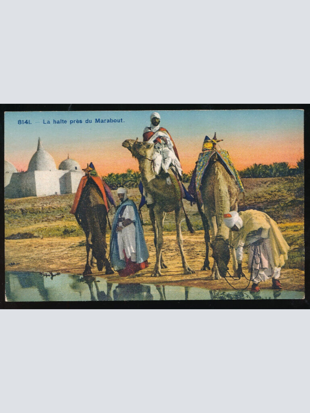 AK aus Tunesien Kamelreiter mit Kamelen Afrika (679)