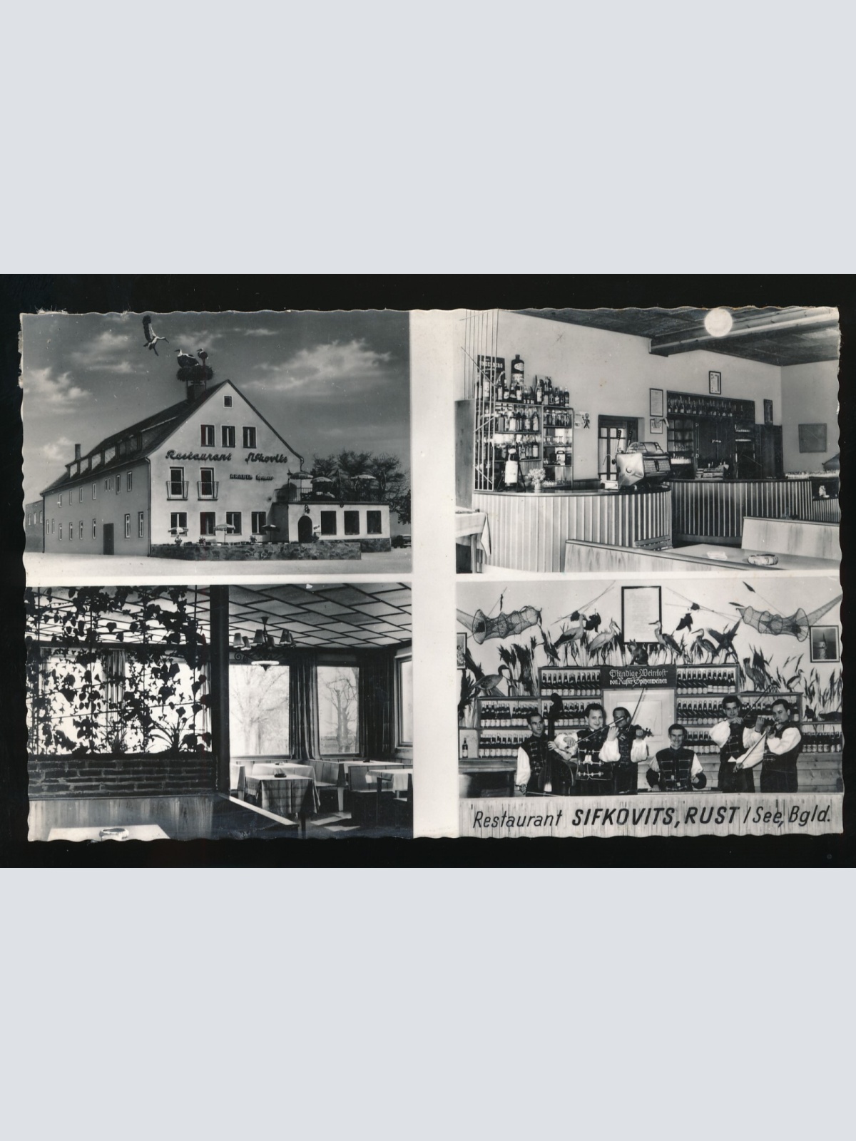 Mehrbild-Karte aus Rust Restaurant Sifkovits Burgenland (221)