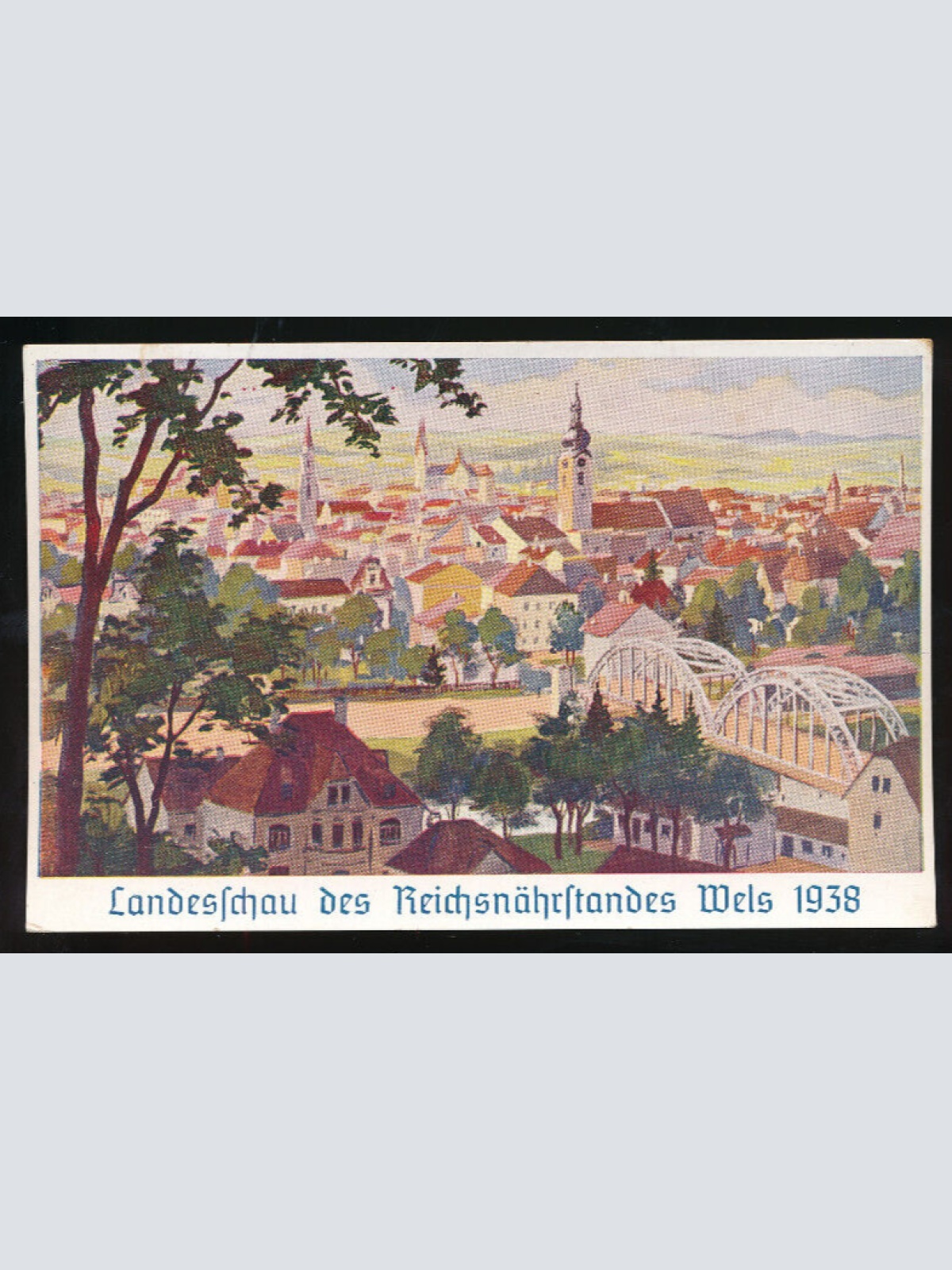 AK aus aus Wels Landesschau des Reichsnährstandes Oberösterreich (954)