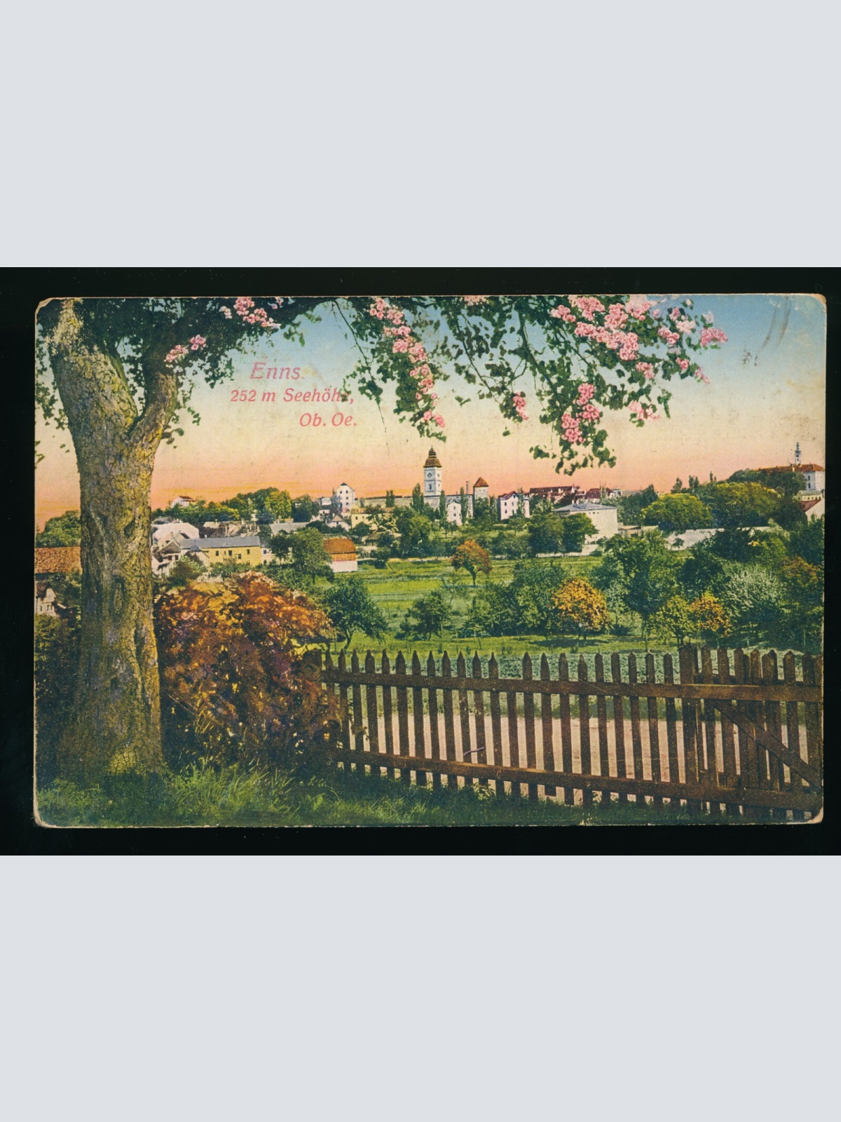 AK aus Enns Oberösterreich (244)