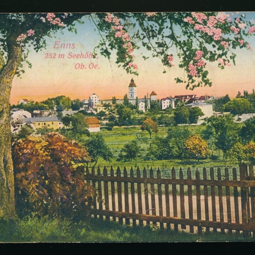 AK aus Enns Oberösterreich (244)
