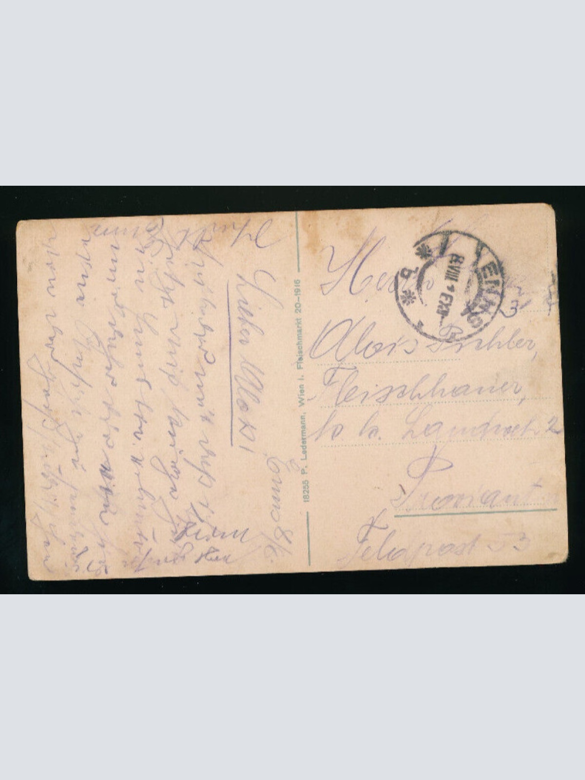 AK aus Enns Oberösterreich (244)