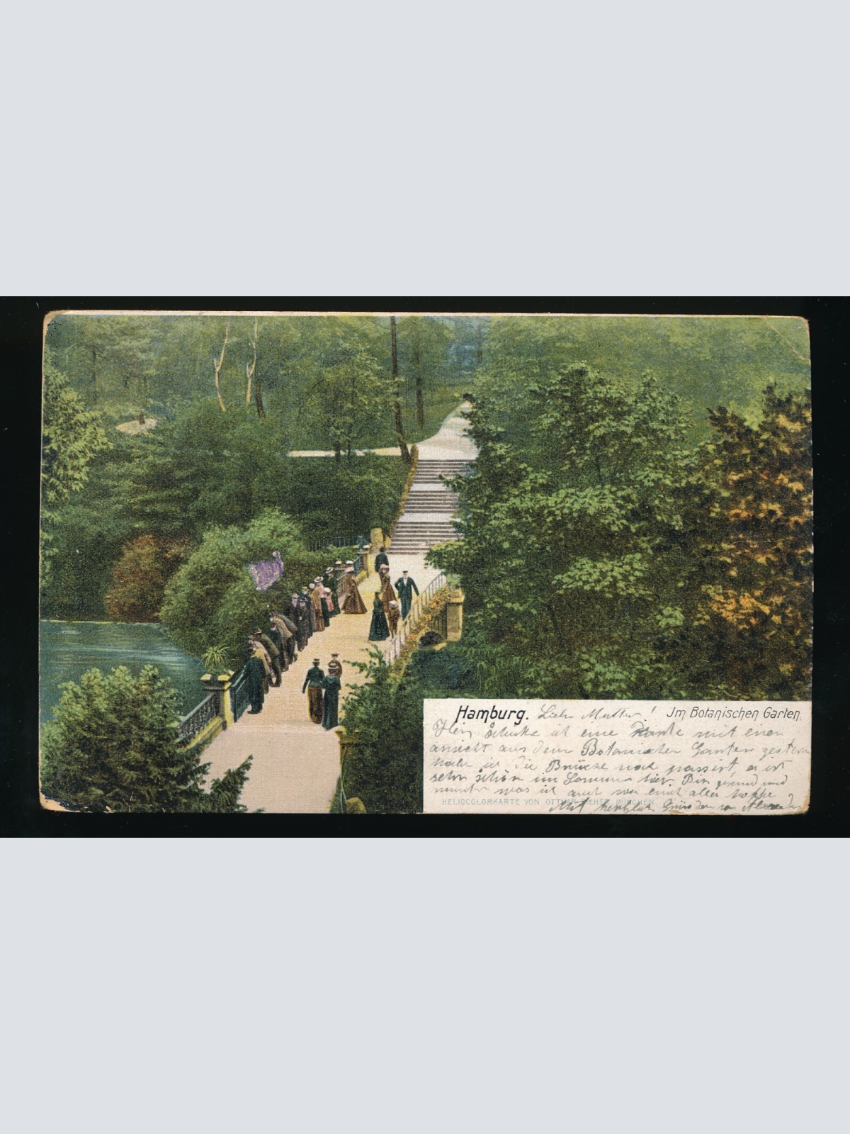 AK aus Hamburg Botanischer Garten Deutschland (358)