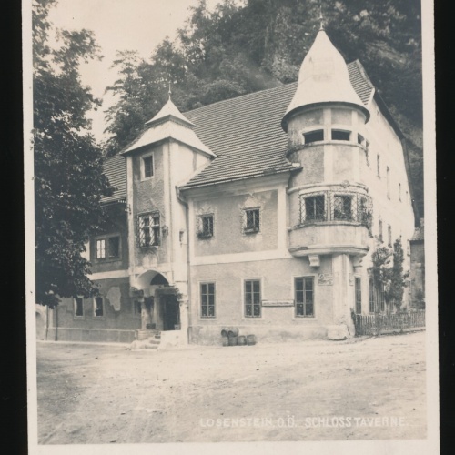 AK aus Losenstein mit Schloss Taverne Oberösterreich (229)