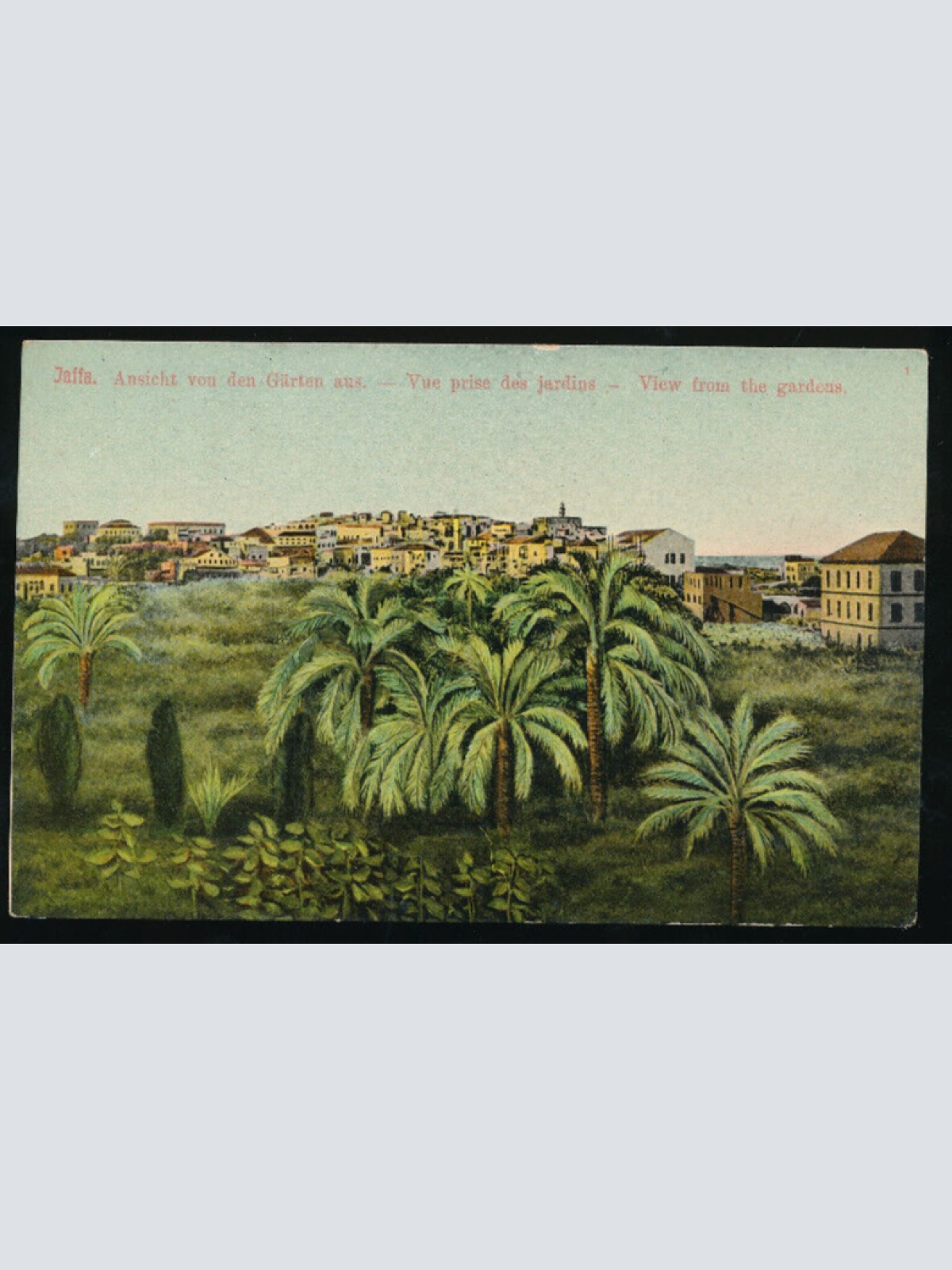 AK aus Jaffa von den Gärten aus - View from the Garden Israel (994)