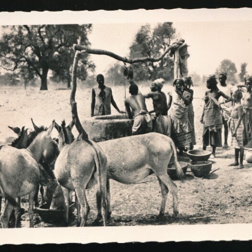AK aus Senegal Au puits près de Thiès - Am Brunnen bei Thiès mit Esel (1053)