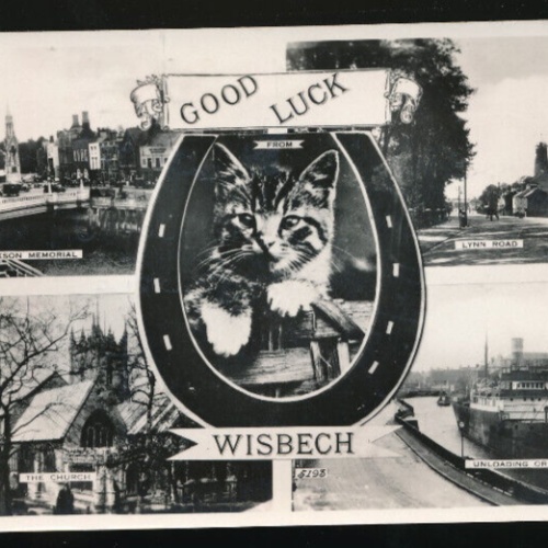 AK aus Wisbech Mehrbildkarte mit Katze und Hufeisen Good Luck England (841)