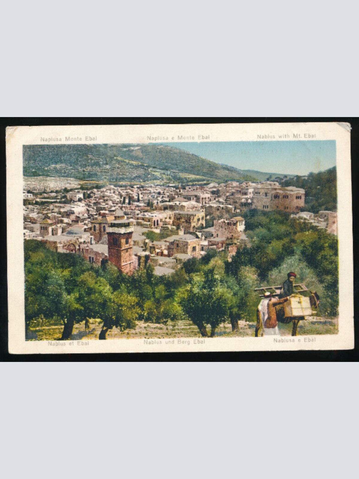 AK aus Nablus Stadtansicht mit Mann auf Esel Israel (813)