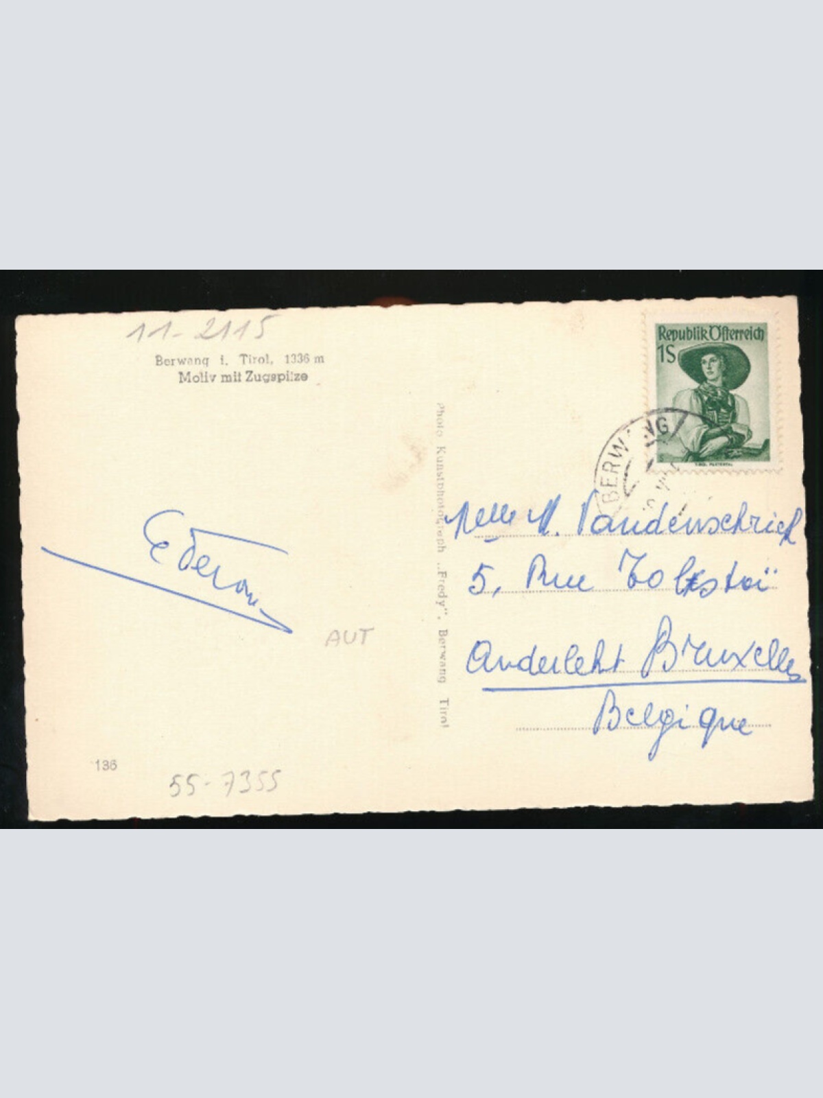 AK aus Berwang in Tirol mit Kühen (1227)