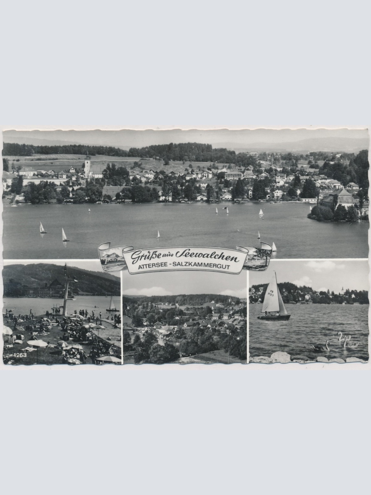 AK, Grüße aus Seewalchen, Attersee - Salzkammergut, Oberösterreich (S112)