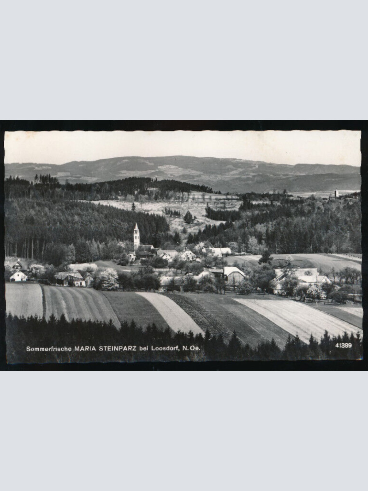 AK aus Maria Steinparz bei Loosdorf Niederösterreich (1314)