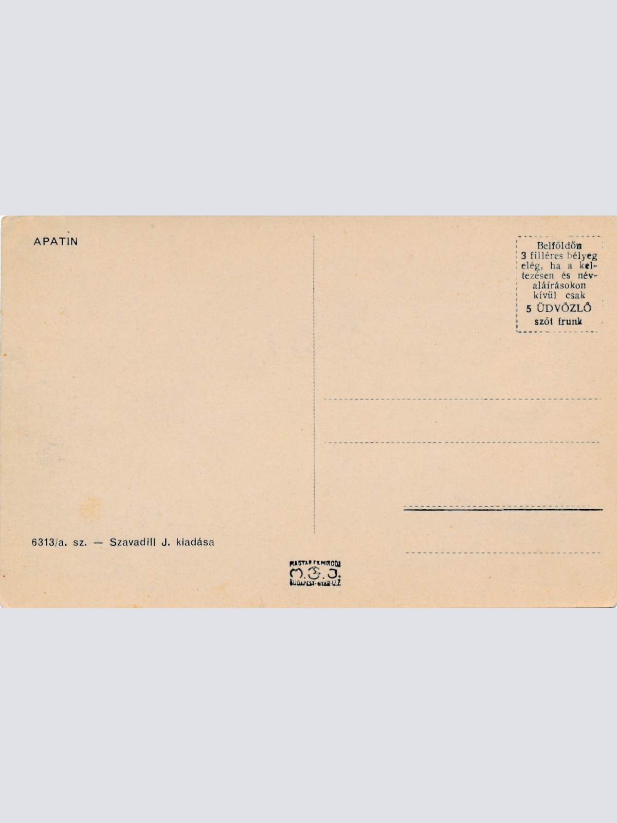 AK, Apatin, Serbien, Parkreszlet, Rom. kath. templom (S102)