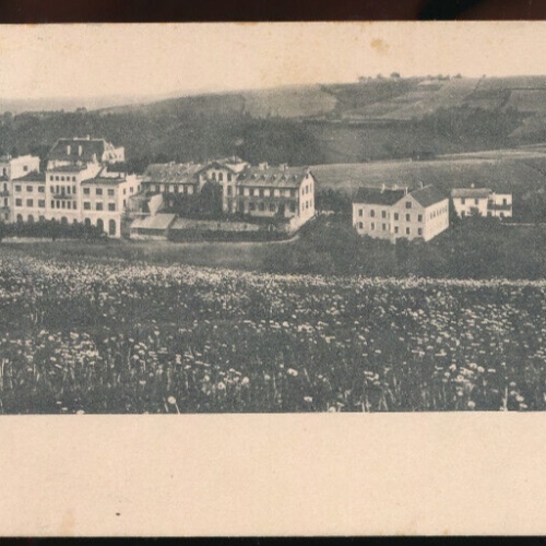 AK aus Bad Kreuzen Oberösterreich (2028)