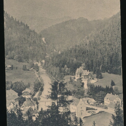 AK aus Mürzsteg mit K.K Jagdschloss Steiermark (2319)