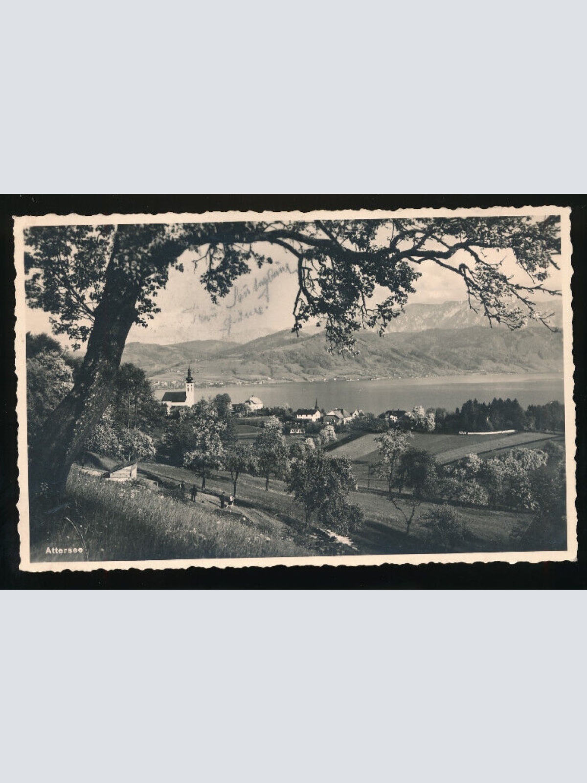 AK aus Attersee Oberösterreich (2437)