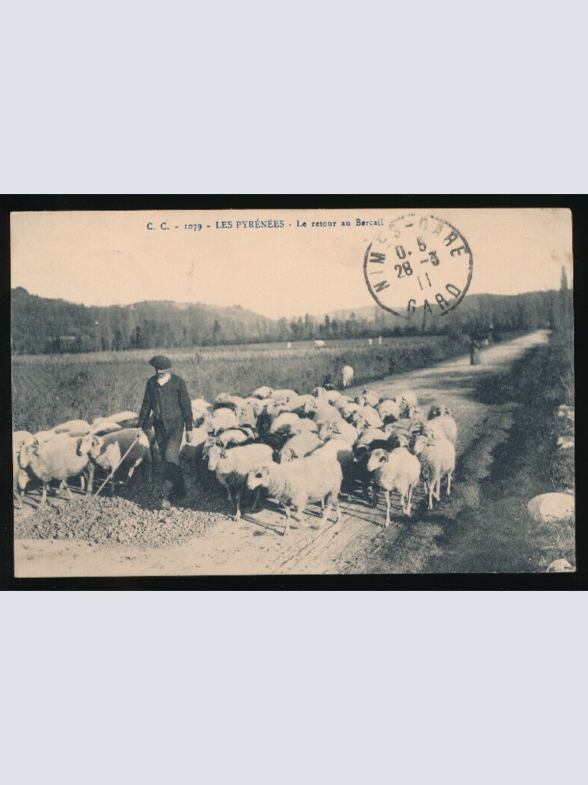 AK aus Les Pyrenees Hirte mit Schafen (3287)