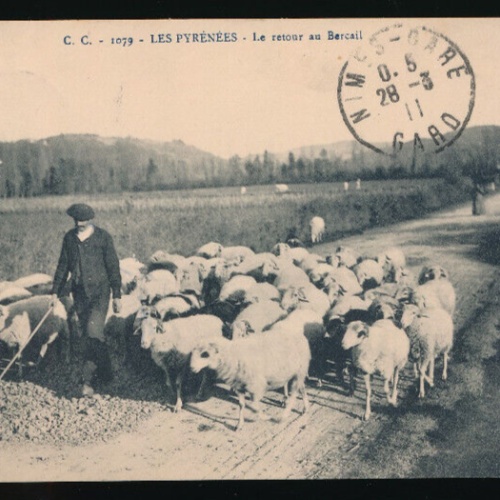 AK aus Les Pyrenees Hirte mit Schafen (3287)