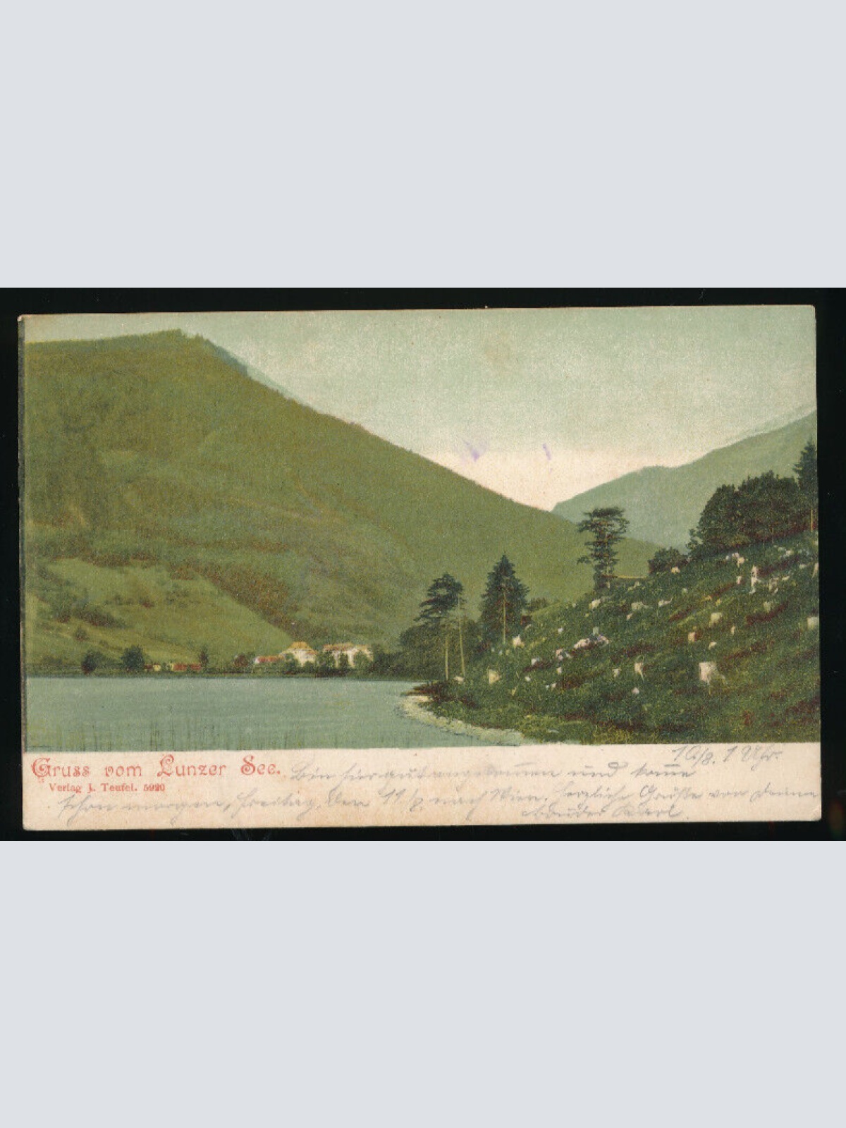 AK gruss vom Lunzer See Niederösterreich (3212)