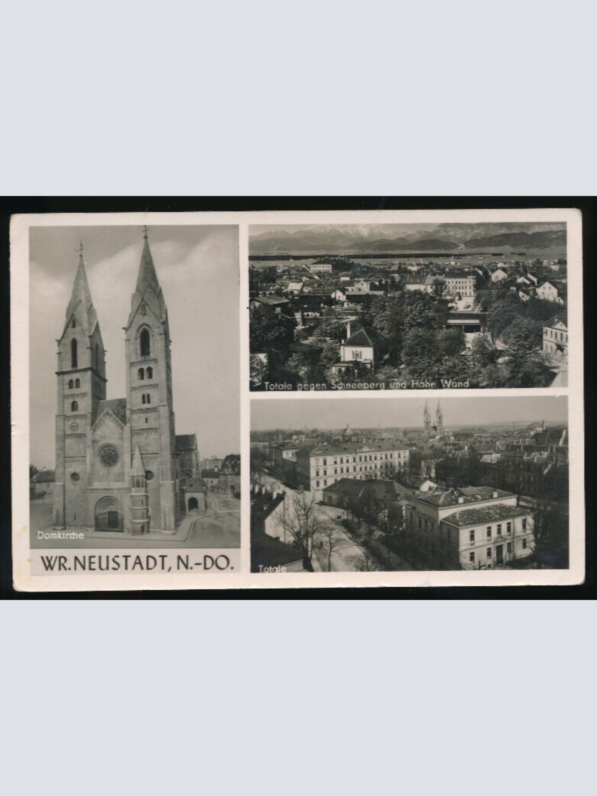 AK aus Wr. Neustadt Mehrbildkarte Niederösterreich (3488)