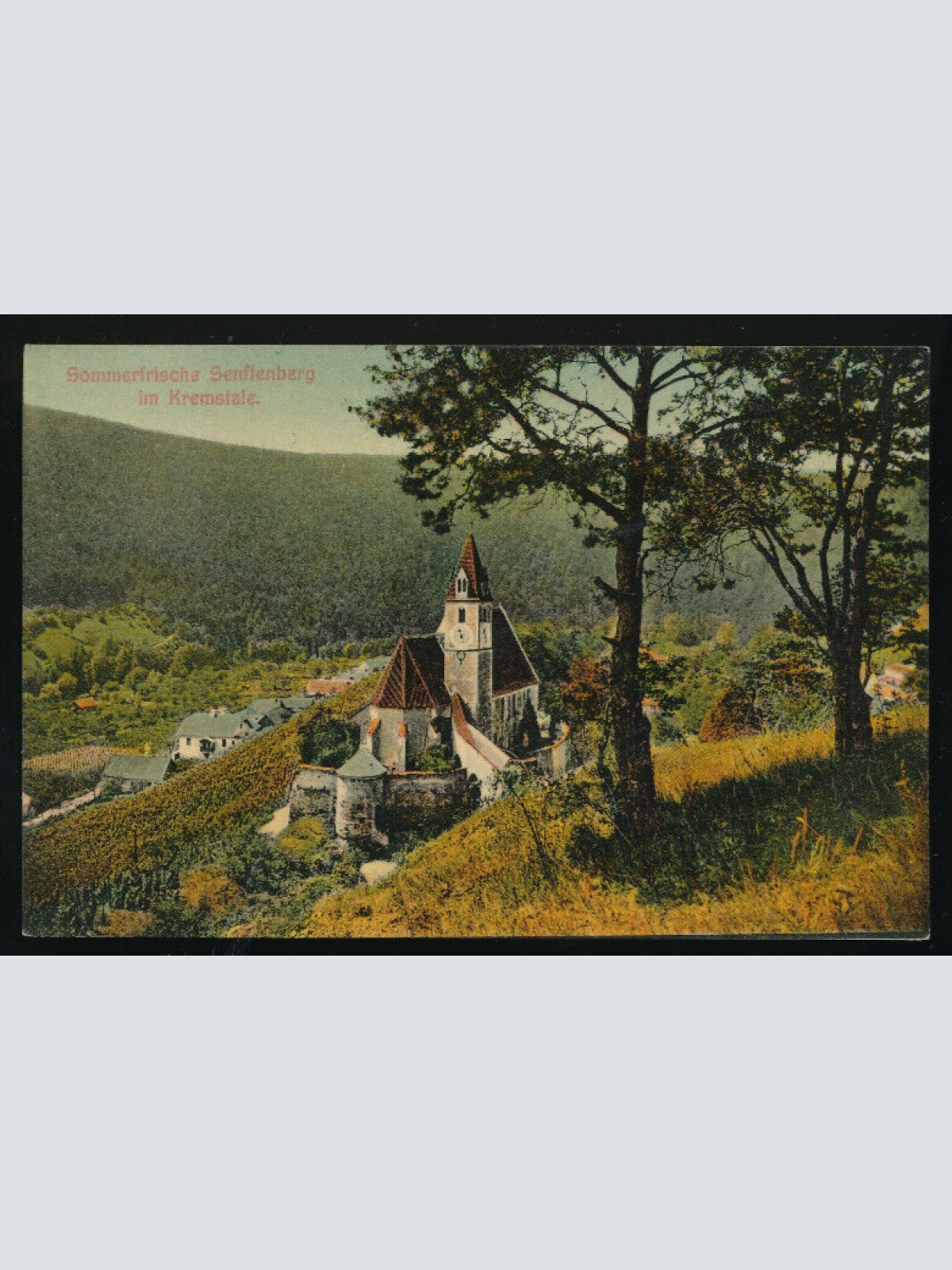 AK aus Senftenberg im Kremstale Niederösterreich (3339)