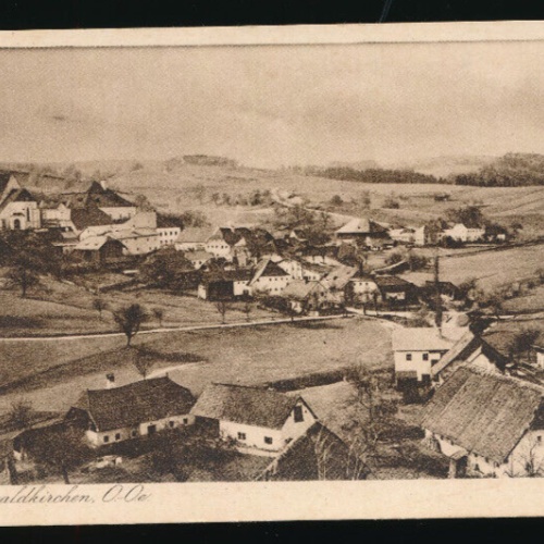 AK aus Niederwaldkirchen Oberösterreich (3424)
