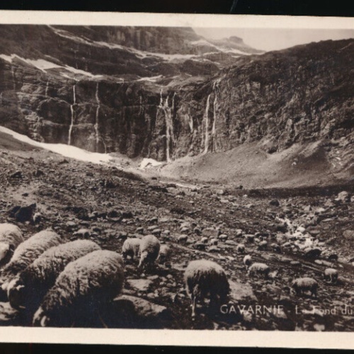 AK aus Gavarnie mit Schafen Bauernleben (3441)