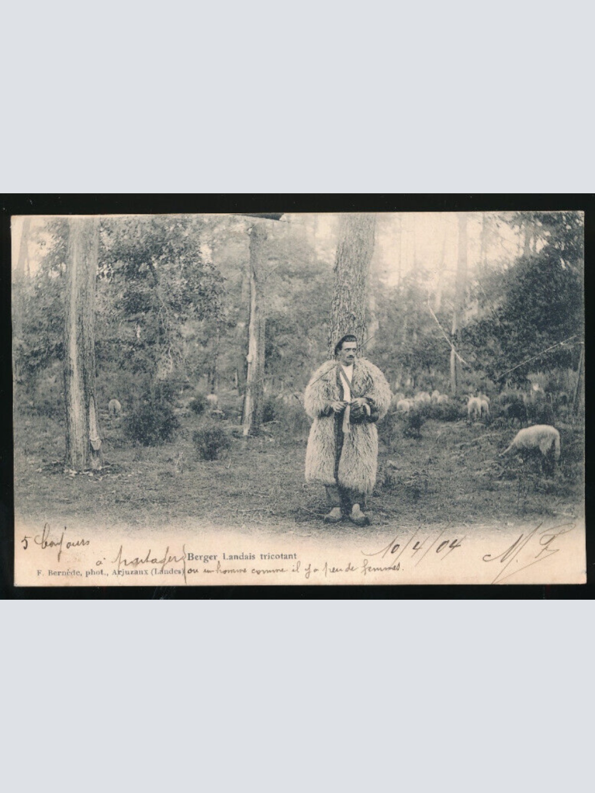 AK Berger Landais tricotant Schafhirte mit Schafspeltz und Schafen (3286)