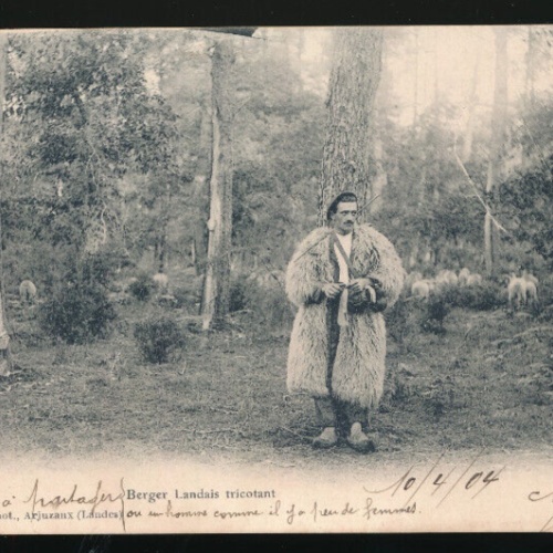 AK Berger Landais tricotant Schafhirte mit Schafspeltz und Schafen (3286)