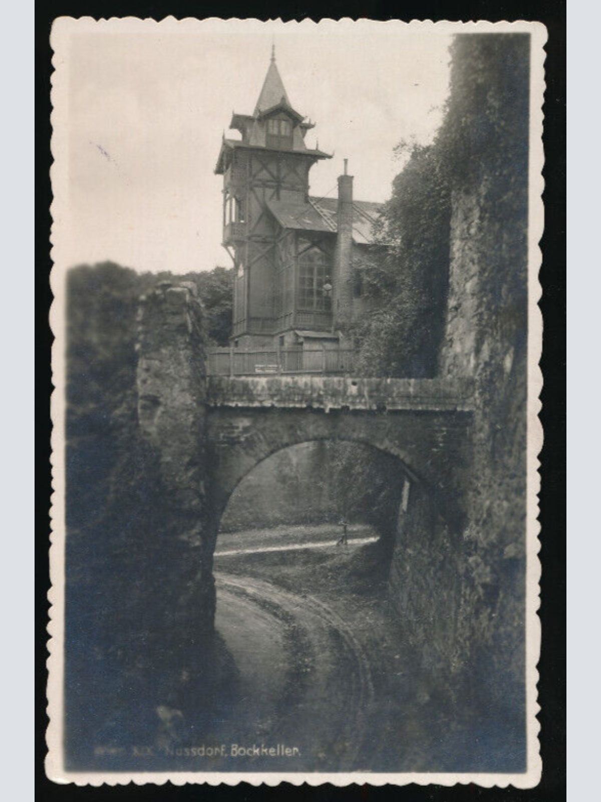 AK aus Wien Nussdorf Bockkeller Wien (3635)