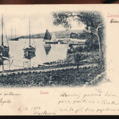 AK aus Lussinpiccolo Cicale Kroatien (3172)