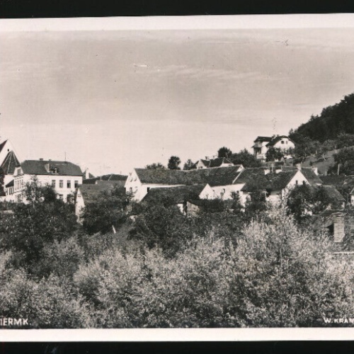 AK aus Wildon Steiermark (3611)