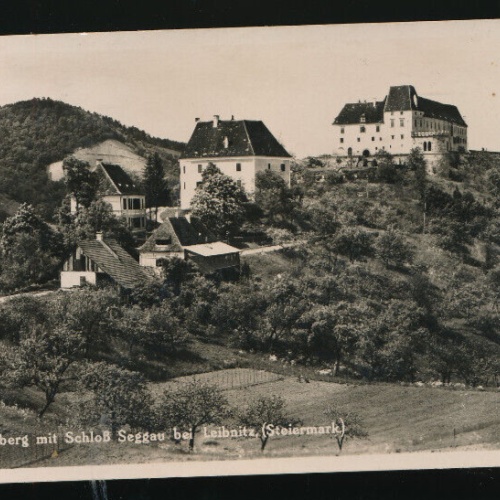 AK aus Seggauberg mit Schloß Seggau bei Leibnitz Steiermark (3615)
