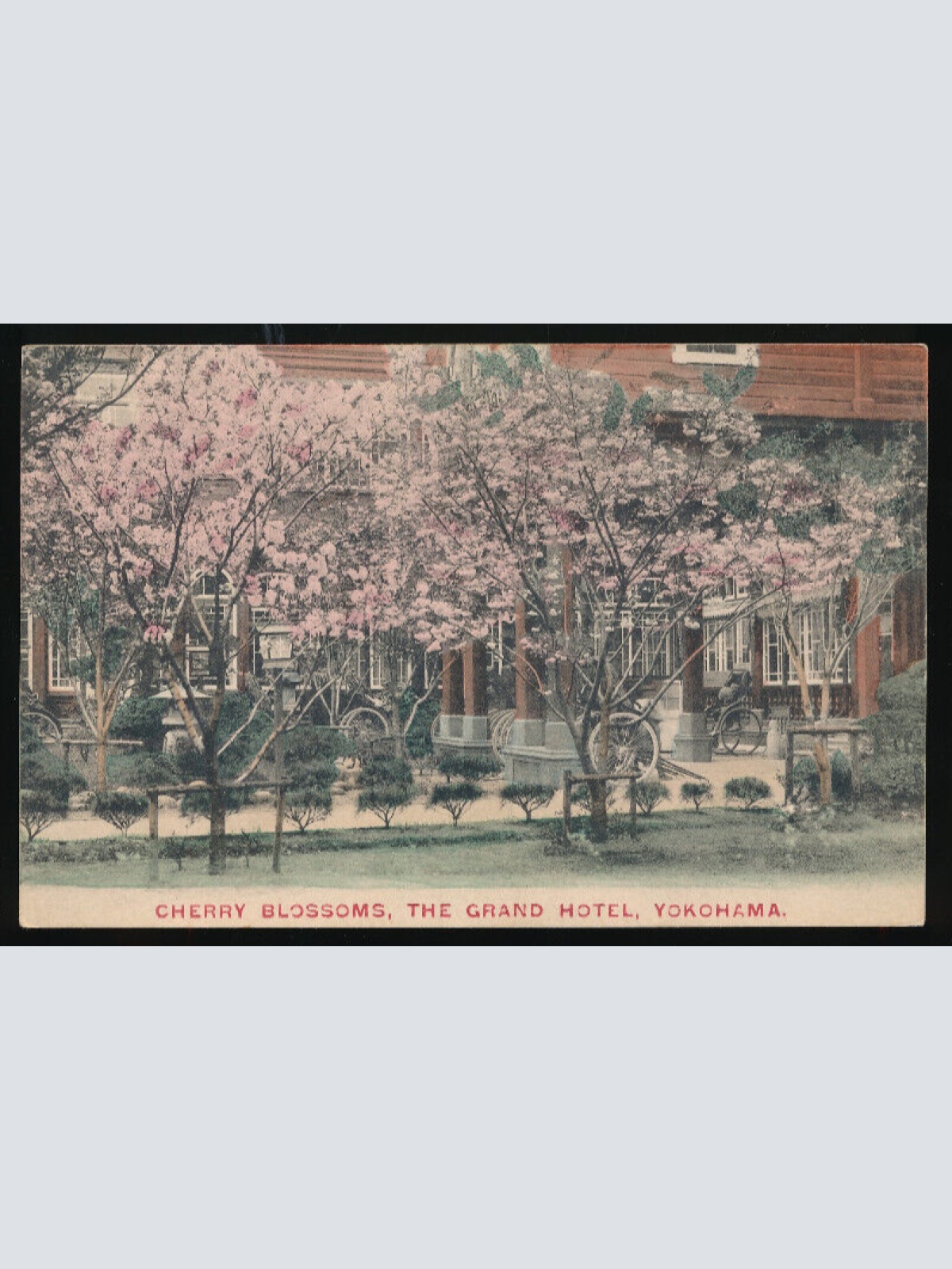 AK aus Yokohama Cherry Blossoms The Grand Hotel Yokohama Japan (3553)