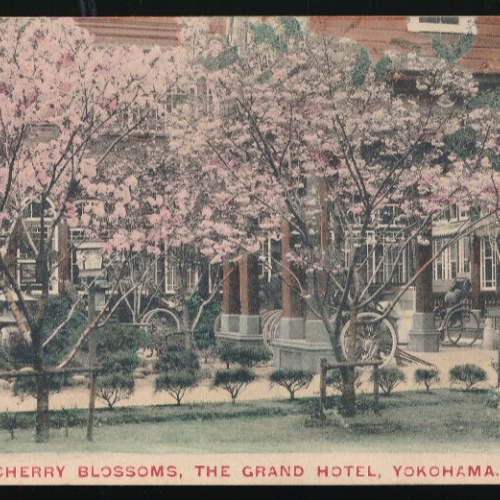 AK aus Yokohama Cherry Blossoms The Grand Hotel Yokohama Japan (3553)