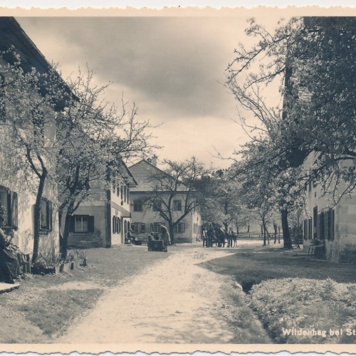AK, Wildenhag bei Sankt Georgen im Attergau, Oberösterreich (S367)