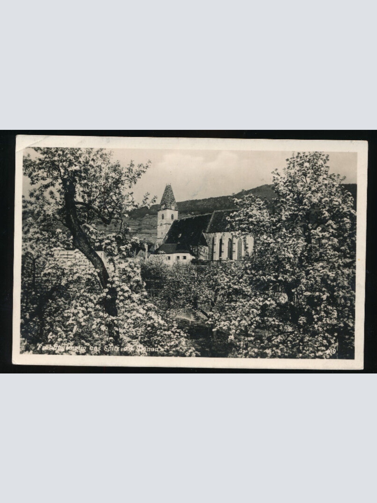 AK aus Spitz an der Donau Niederösterreich (3981)