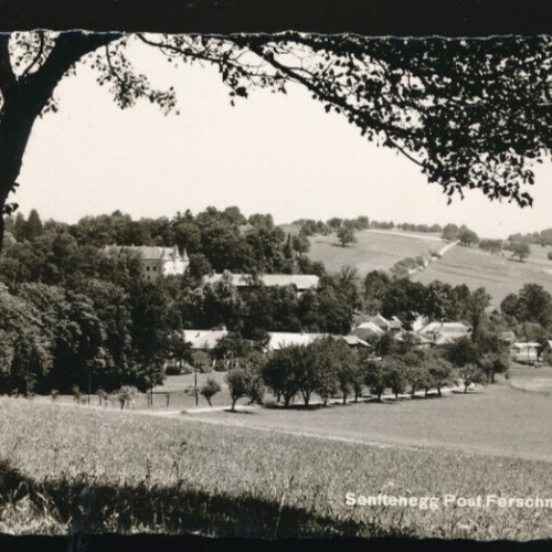 AK aus Senftenegg Niederösterreich (3906)
