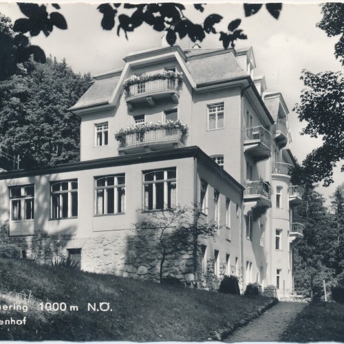 AK, Kurort Semmering, Pension Fürstenhof, Niederösterreich (S407)