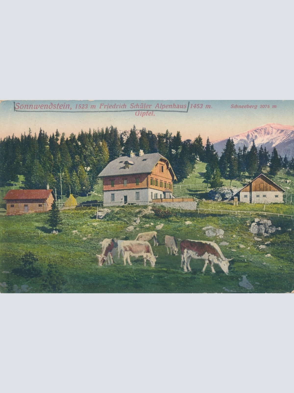 AK, Sonnwendstein, Friedrich Schüler Alpenhaus, Niederösterreich (S413)
