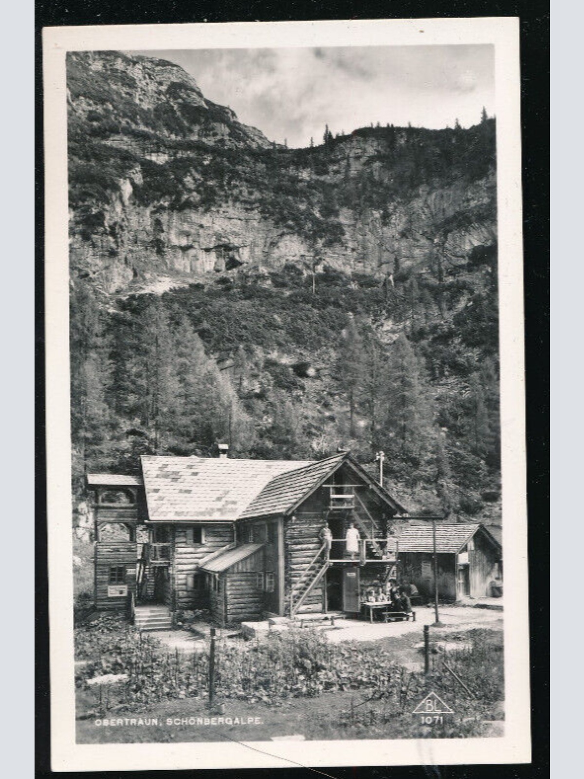 AK aus Obertraun , Schönbergalpe Oberösterreich (L3753)