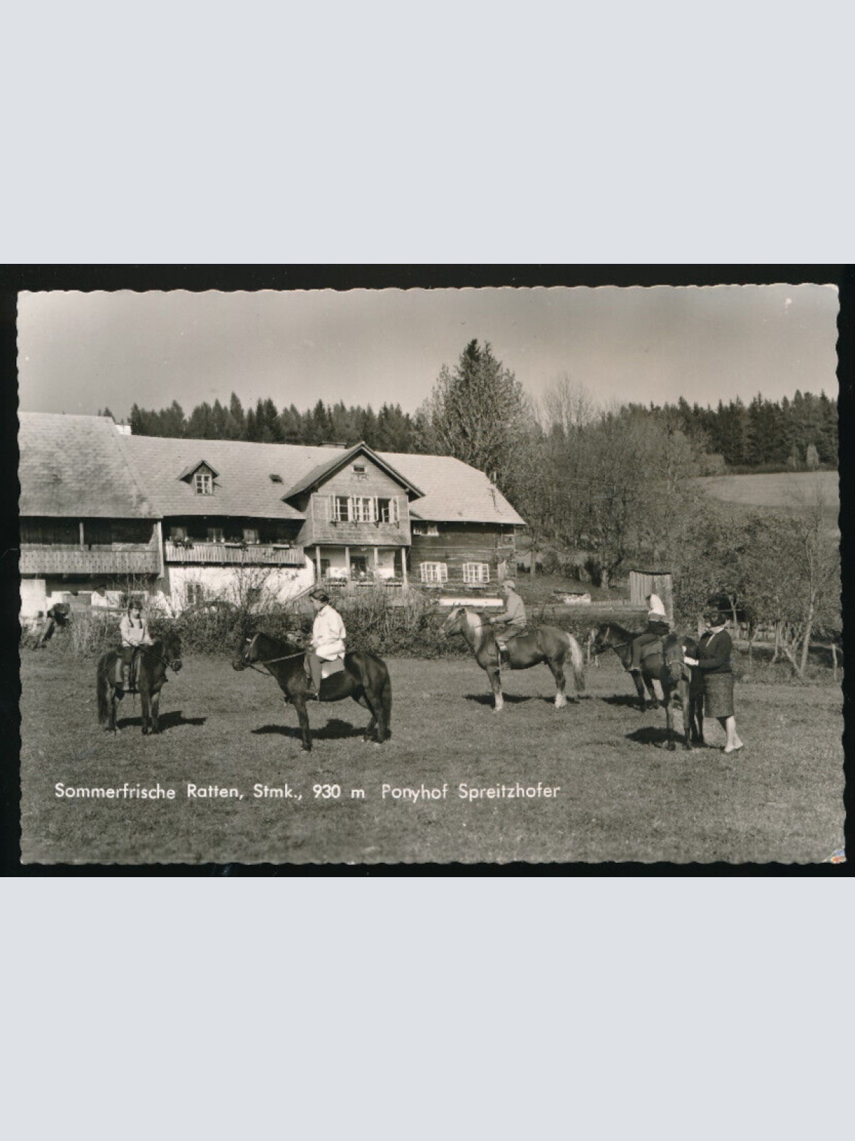 AK aus Ratten Ponyhof Spreitzhofer Steiermark (3709)