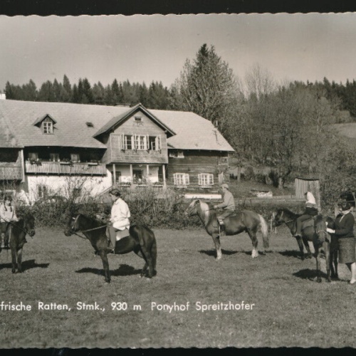AK aus Ratten Ponyhof Spreitzhofer Steiermark (3709)
