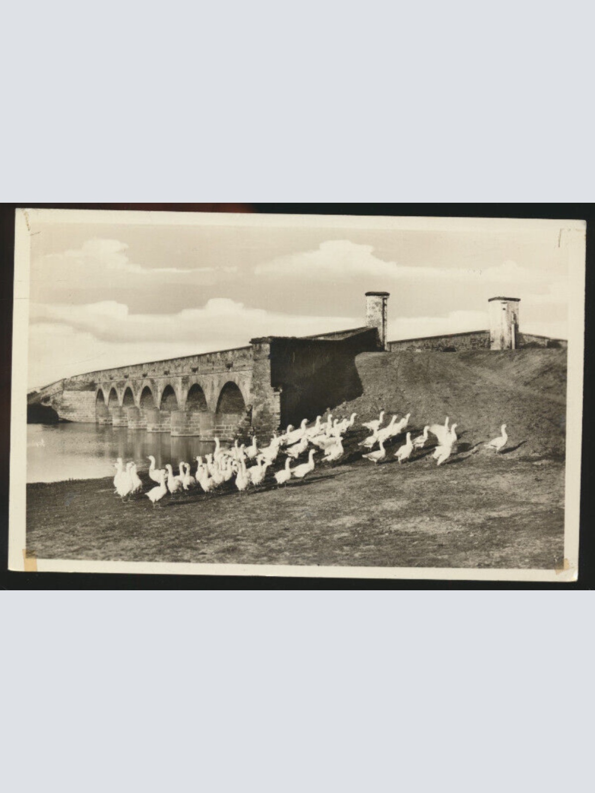 AK aus Hortobagy mit Gänsen Ungarn (4313)