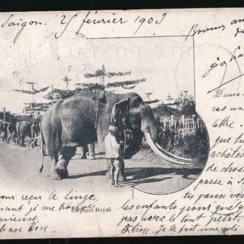 AK aus Vietnam Elephant Royal mit Elefanten Asien (4054)